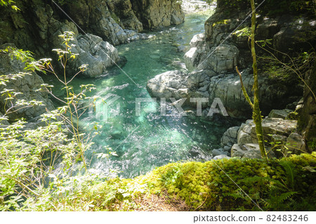 Atera Valley Moss Forest and Clear Stream Atera Valley Moss Forest and Clear Stream 82483246