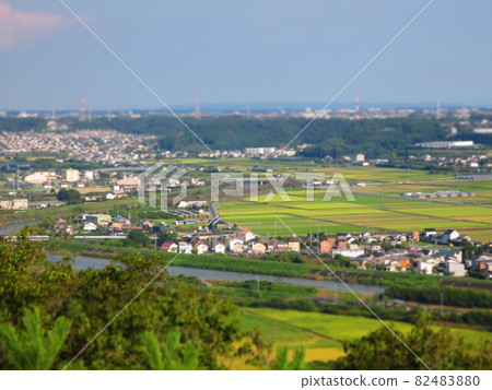 稻田拼湊而成的住宅西洋鏡 稻田拼湊而成的住宅西洋鏡 82483880