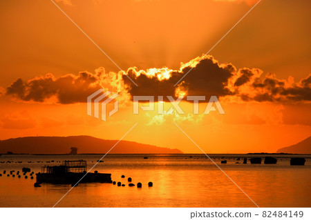 Evening scenery of Kujuku Island 82484149