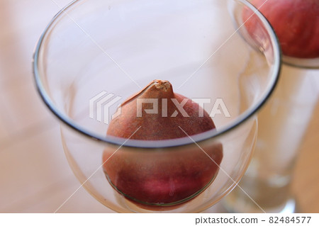 Tulip ◦ ○ ° ◯ ° ○. Hydroponics ° ○ ° ◯ ° ○. 82484577