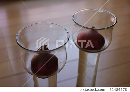 Tulip ◦ ○ ° ◯ ° ○. Hydroponics ° ○ ° ◯ ° ○. 82484578