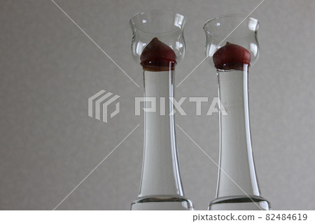 Tulip ◦ ○ ° ◯ ° ○. Hydroponics ° ○ ° ◯ ° ○. 82484619