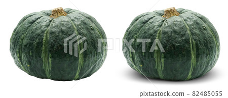 Pumpkin Pumpkin Pumpkin Illustration Real Pumpkin Pumpkin Pumpkin Illustration Real 82485055