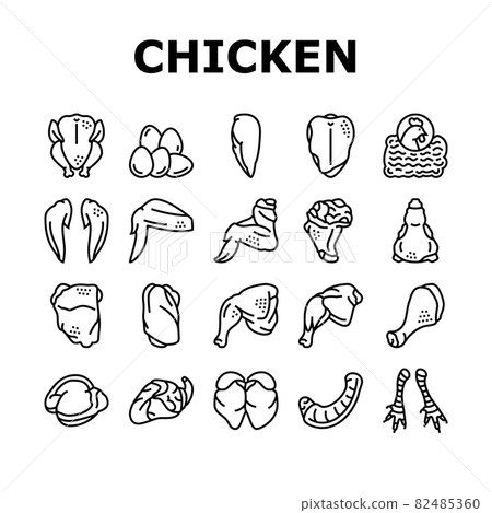 Chicken Animal Farm Raw Meat Food Icons Set Vector Chicken Animal Farm Raw Meat Food Icons Set Vector 82485360