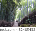 Kyoto Arashiyama bamboo forest small diameter 82485432