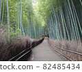 Kyoto Arashiyama bamboo forest small diameter 82485434