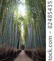 Kyoto Arashiyama bamboo forest small diameter 82485435