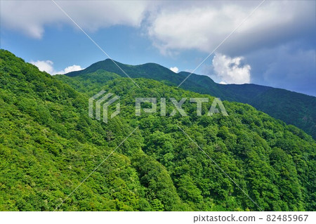 Mountain trail from the 6th station of Awagadake to the ridgeline Mountain trail from the 6th station of Awagadake to the ridgeline 82485967