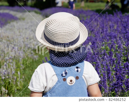 兒童嬰兒背視圖 82486252