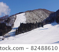 Nozawaonsen ski area 82488610