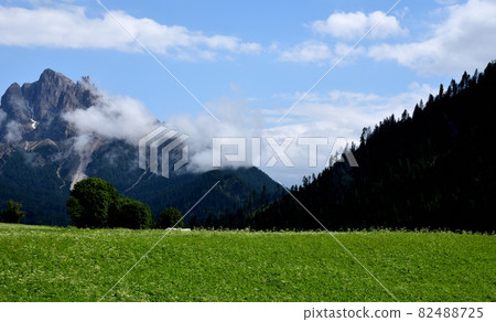 Lawns and woods under the Vallandro peak 82488725