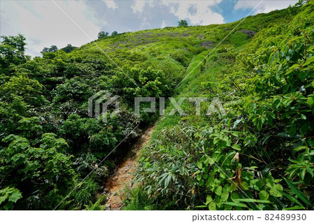Mountain trail just below the summit of Mt. Aizu Asahidake 82489930