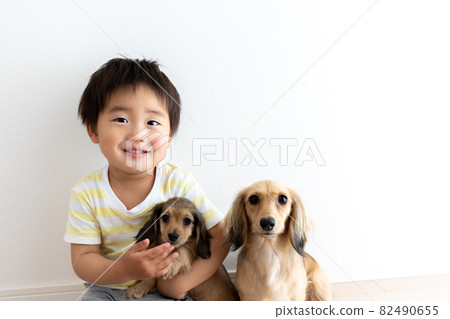 Toddler and dachshund 82490655