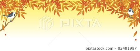 Autumn leaves red rowan 82491987