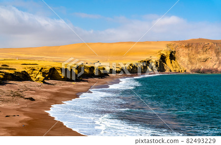 Red Beach at Paracas National Reserve in Peru Red Beach at Paracas National Reserve in Peru 82493229