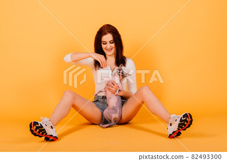Gorgeous brunette woman smiling, holding Sphynx kitten, posing on grey and yellow studio background. Gorgeous brunette woman smiling, holding Sphynx kitten, posing on grey and yellow studio background. 82493300