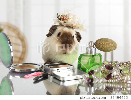 Amusing rat at the mirror 82494433