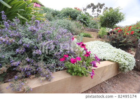 Scenery around McLaren Vale_7 Scenery around McLaren Vale_7 82495174