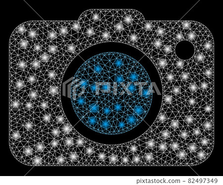 Flare Mesh Carcass Photo Camera with Flare Spots Flare Mesh Carcass Photo Camera with Flare Spots 82497349