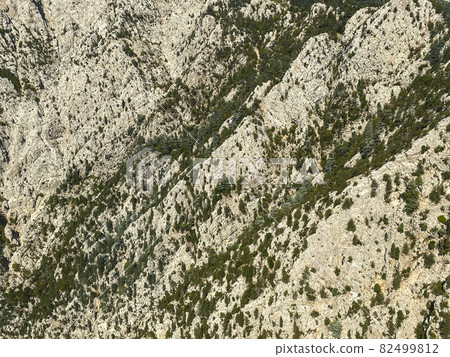 Aerial top view of lush green trees from above in tropical forest in national park and mountain or hill in summer season Aerial top view of lush green trees from above in tropical forest in national park and mountain or hill in summer season 82499812