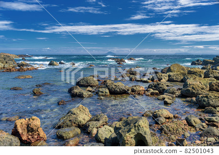 Shimoda City, Shizuoka Prefecture Summer scenery of Tsumekizaki 82501043