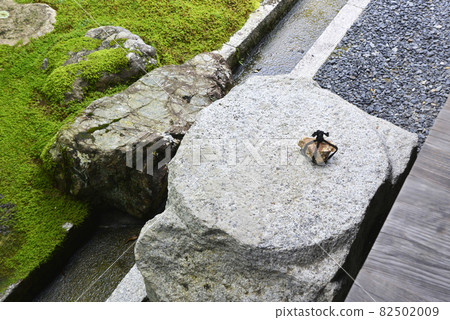 京都市泉湧寺庭園站石東山區 82502009