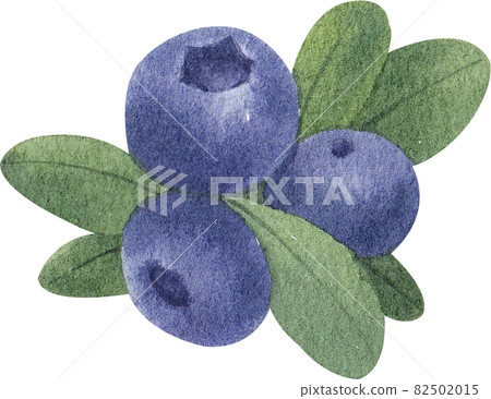 Blueberry decor watercolor Blueberry decor watercolor 82502015