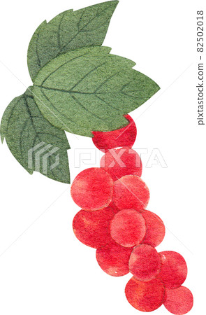 grape decor watercolor grape decor watercolor 82502018