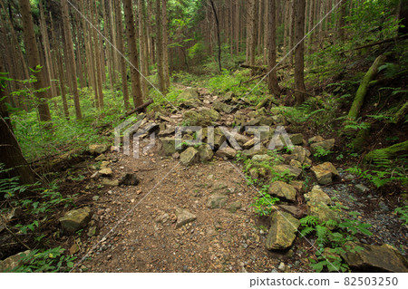 岩石落在山路上 82503250