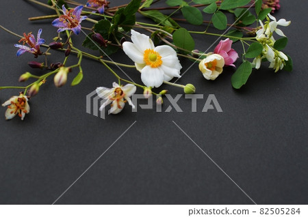 Cute flowers that bloom in autumn Cute flowers that bloom in autumn 82505284