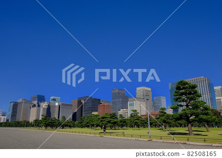 Skyscrapers in Otemachi, pine forests and Marunouchi in Kokyo Gaien 82508165