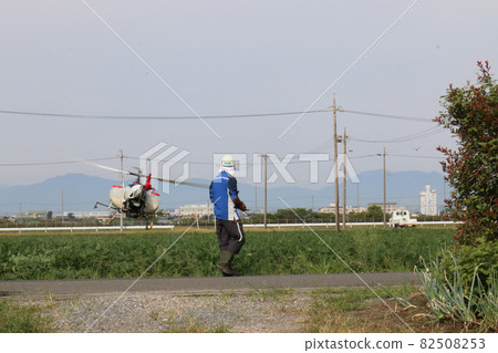 大豆田病蟲害防治 82508253