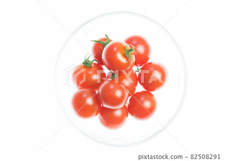 櫻桃西紅柿 櫻桃西紅柿 82508291