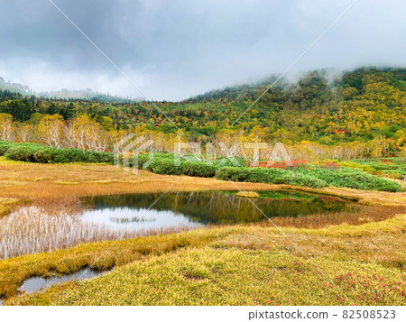 Beautiful autumn leaves of Tsugaike Natural Garden (Ukishima Marsh) Otari Village, Nagano Prefecture Beautiful autumn leaves of Tsugaike Natural Garden (Ukishima Marsh) Otari Village, Nagano Prefecture 82508523