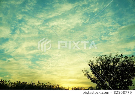 秋天的夕陽天空，夕陽 82508779