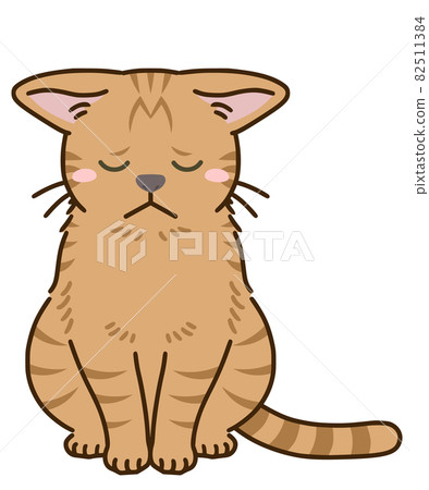 Depressed cat (tea tabby) Depressed cat (tea tabby) 82511384