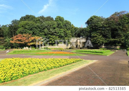 川口市綠色中心花壇廣場瀑布和大噴泉 82513385