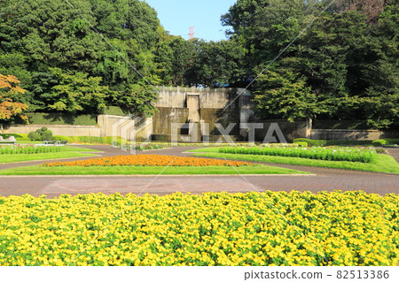 Kawaguchi City Green Center Flowerbed Square Waterfall and Large Fountain 82513386