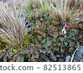 Scenery on a Shackleton hike 82513865