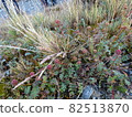 Scenery on a Shackleton hike 82513870