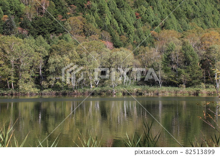 長野縣志賀高原的紅葉開始的木堂池的秋景 長野縣志賀高原的紅葉開始的木堂池的秋景 82513899