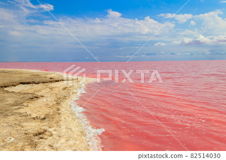 View of the pink salty Syvash lake in Kherson region, Ukraine View of the pink salty Syvash lake in Kherson region, Ukraine 82514030