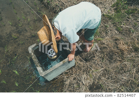 A child washing his feet at the mouth of a rice field A child washing his feet at the mouth of a rice field 82514407