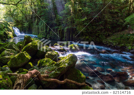 Beautiful scenery of Kikuchi Gorge in early autumn 82514716