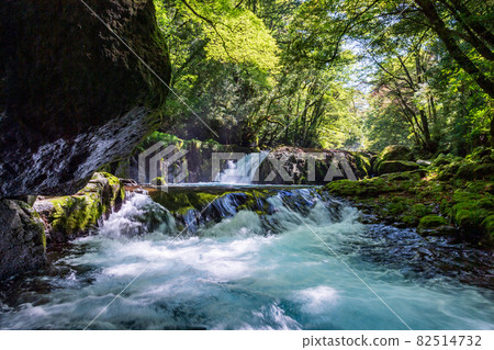 初秋菊池峽美景 82514732