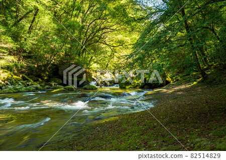 初秋菊池峽美景 初秋菊池峽美景 82514829