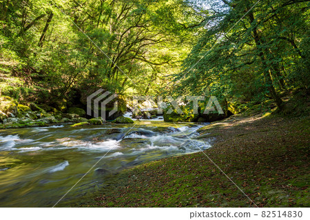初秋菊池峽美景 初秋菊池峽美景 82514830