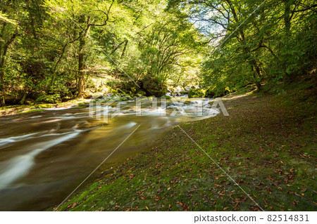 初秋菊池峽美景 初秋菊池峽美景 82514831