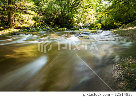 Beautiful scenery of Kikuchi Gorge in early autumn Beautiful scenery of Kikuchi Gorge in early autumn 82514833
