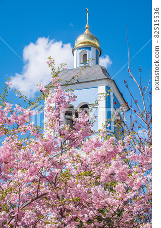 Lush blooming pink sakura blossoms on blue sky and church background Lush blooming pink sakura blossoms on blue sky and church background 82515536